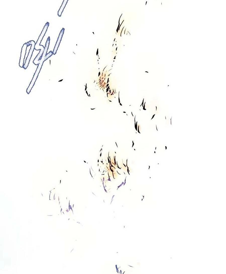 Kí Hiệu Cuối Cùng Chapter 6 - 74