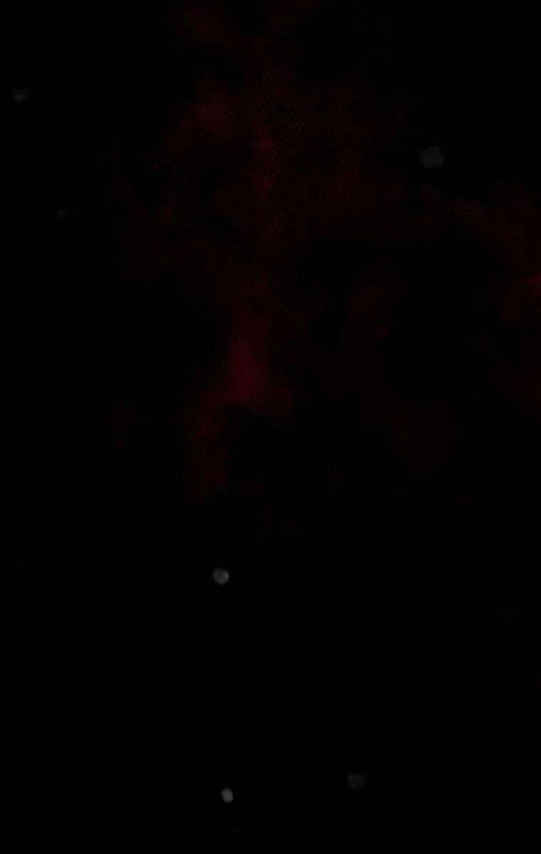 Tôi Đã Trở Thành Quái Vật Không Gian Chapter 16 - 136