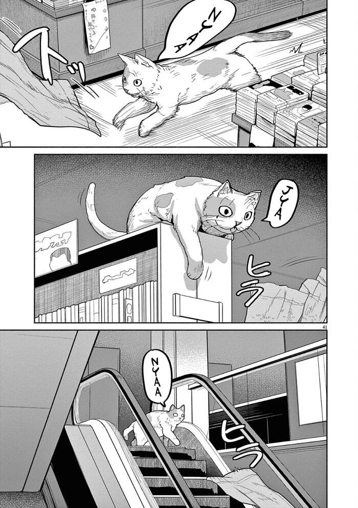 Kaii To Otome To Kamigakushi Chapter 47 - 12