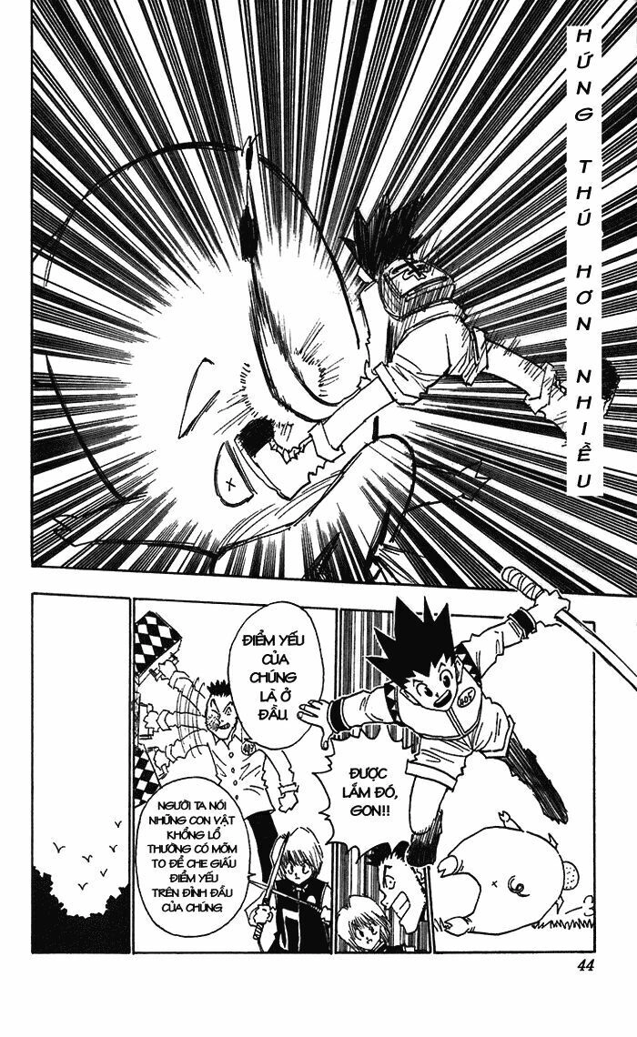 Hunter X Hunter Chapter 10 - 19