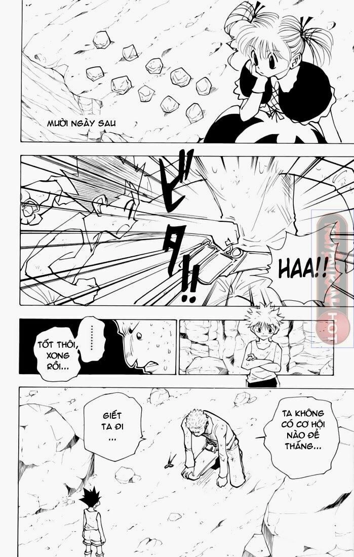 Hunter X Hunter Chapter 139 - 19