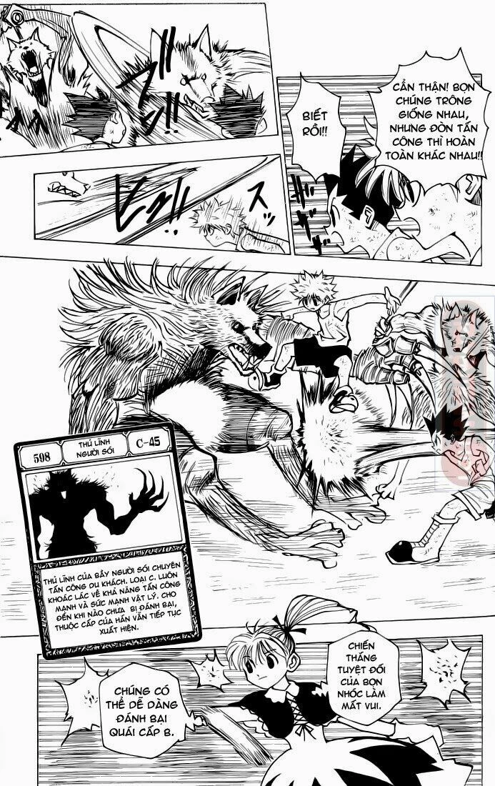 Hunter X Hunter Chapter 146 - 9