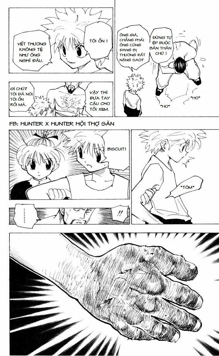 Hunter X Hunter Chapter 166 - 8