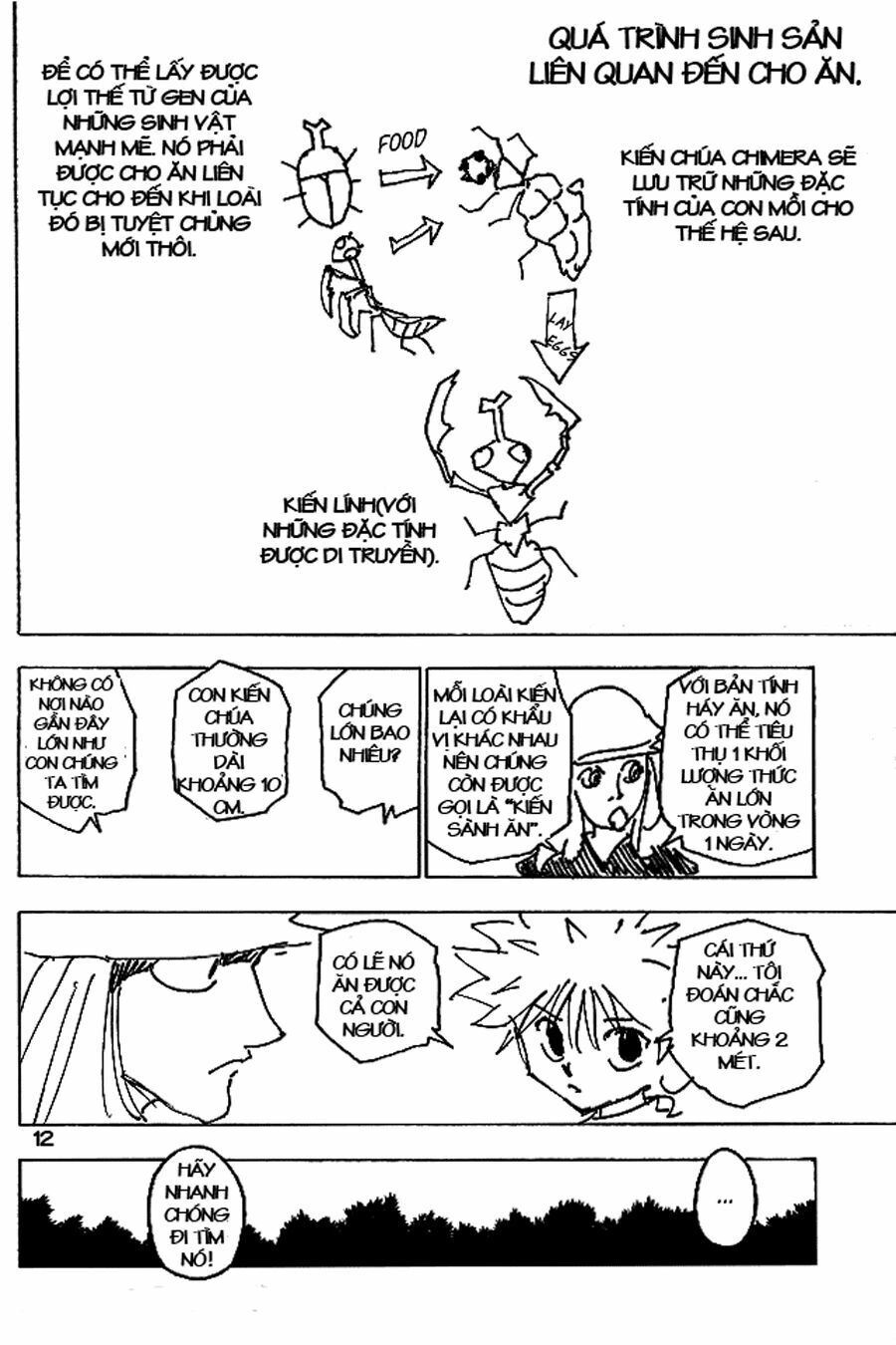 Hunter X Hunter Chapter 187 - 12