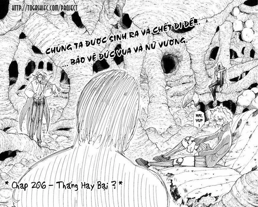 Hunter X Hunter Chapter 206 - 5