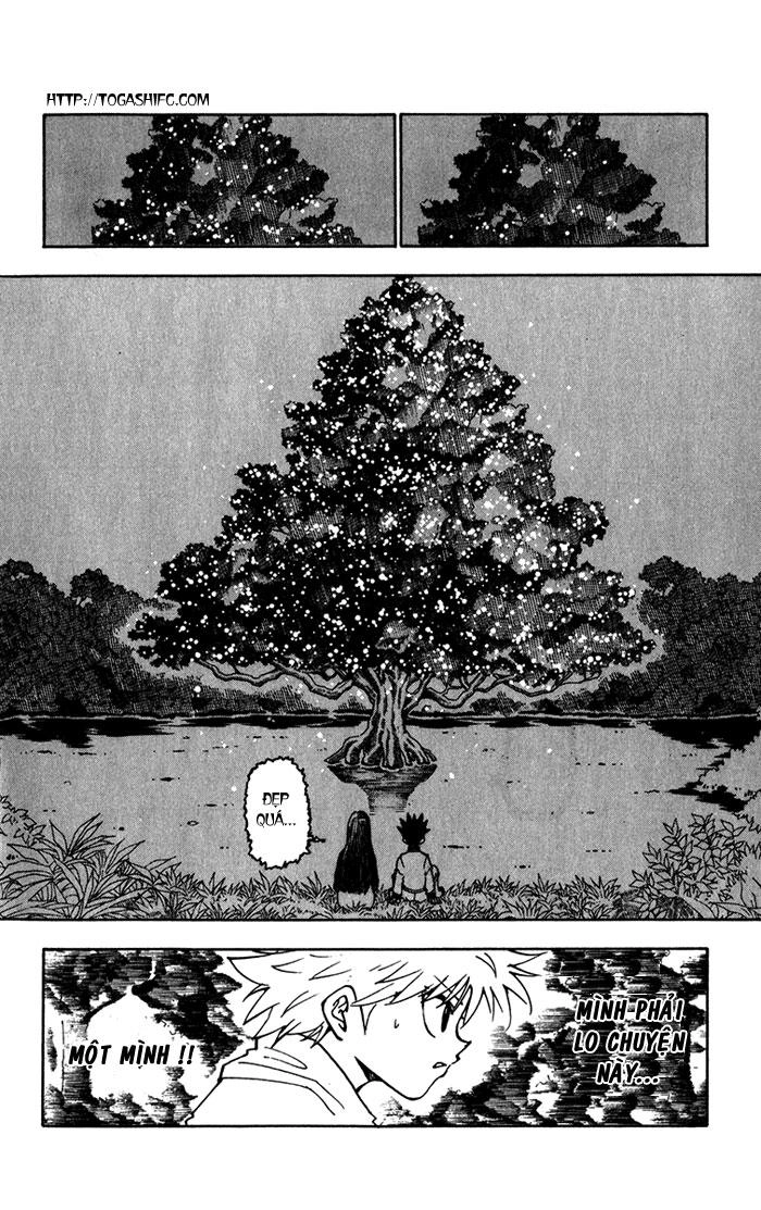 Hunter X Hunter Chapter 218 - 13