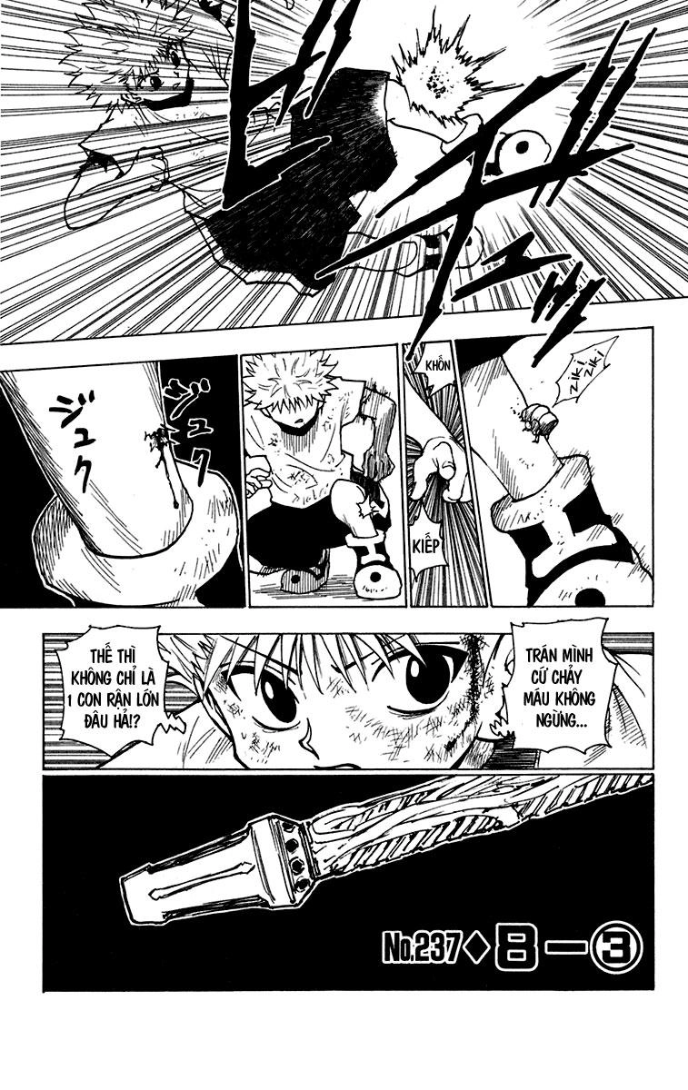Hunter X Hunter Chapter 237 - 2