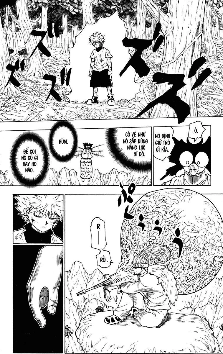 Hunter X Hunter Chapter 237 - 6