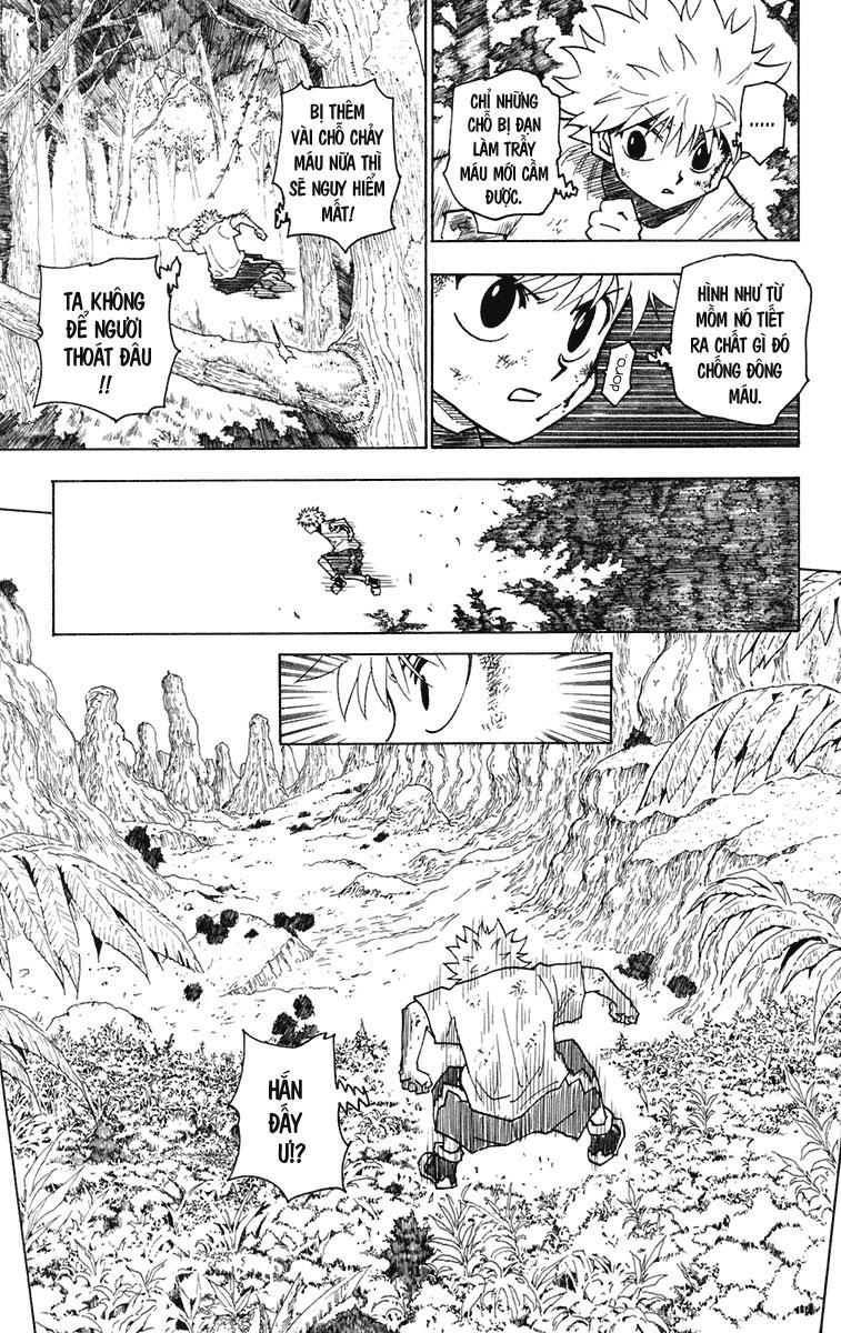 Hunter X Hunter Chapter 237 - 11
