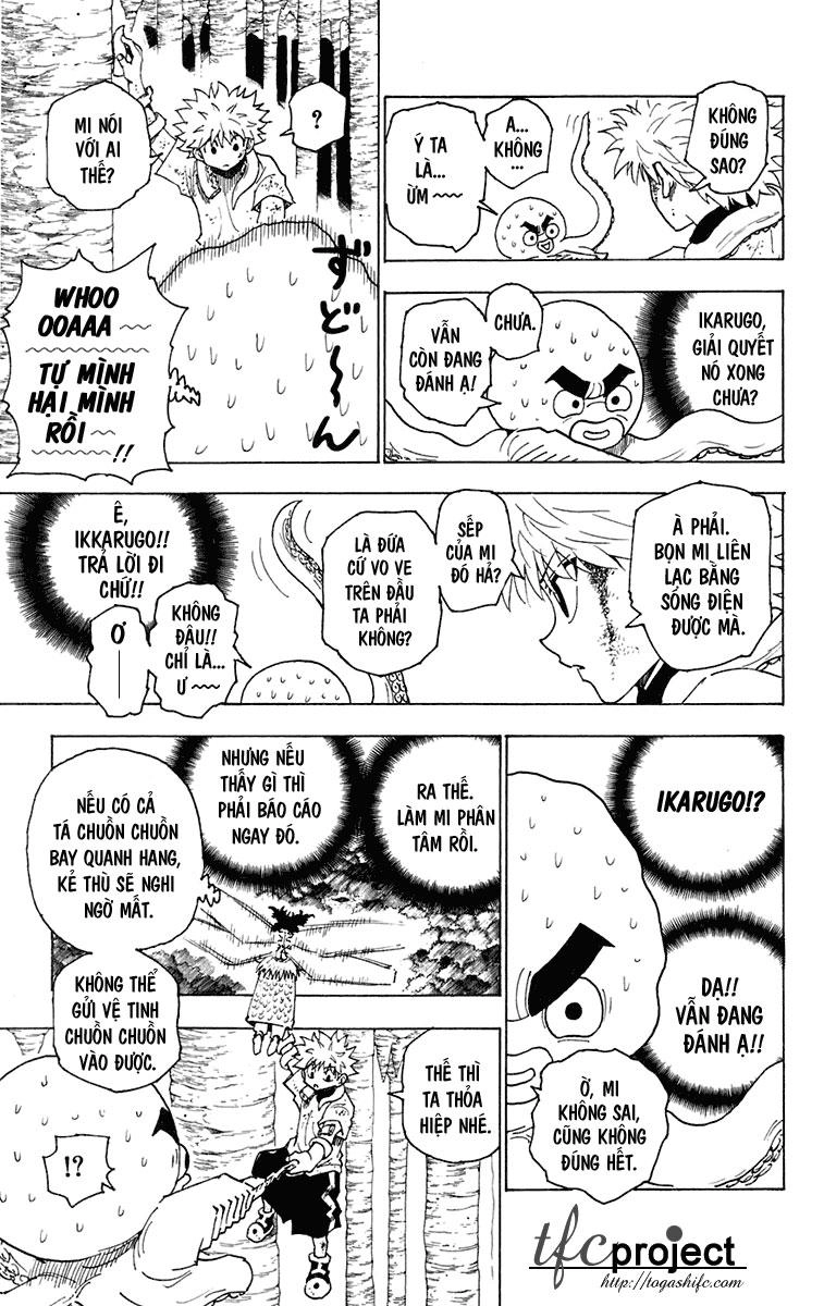 Hunter X Hunter Chapter 238 - 8