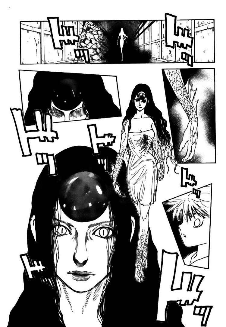 Hunter X Hunter Chapter 293 - 5
