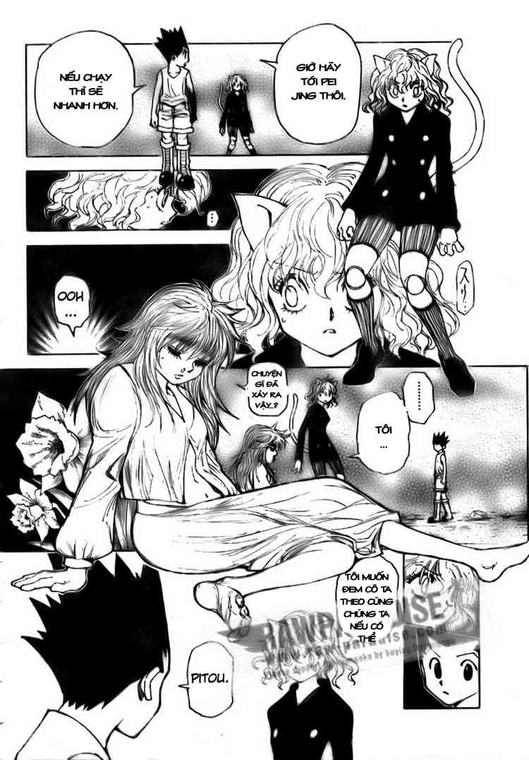 Hunter X Hunter Chapter 300 - 12