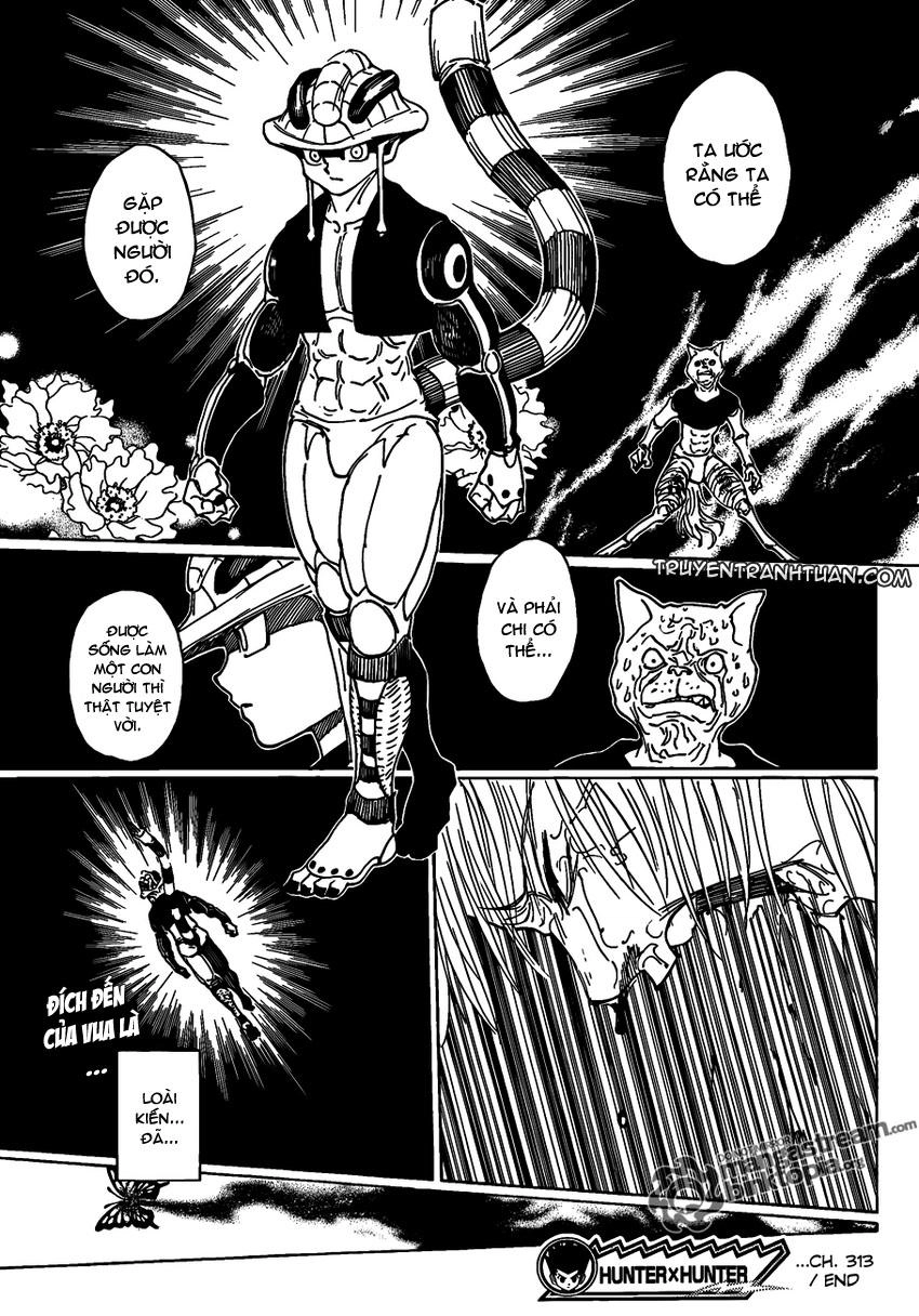 Hunter X Hunter Chapter 313 - 14
