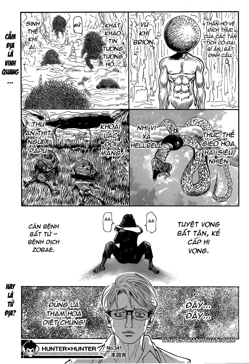 Hunter X Hunter Chapter 341 - 20