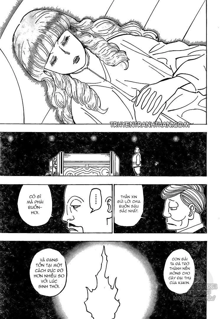 Hunter X Hunter Chapter 371 - 19