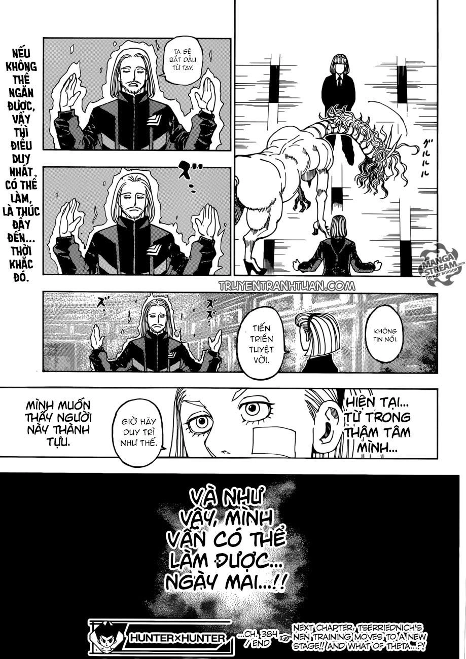 Hunter X Hunter Chapter 384 - 17