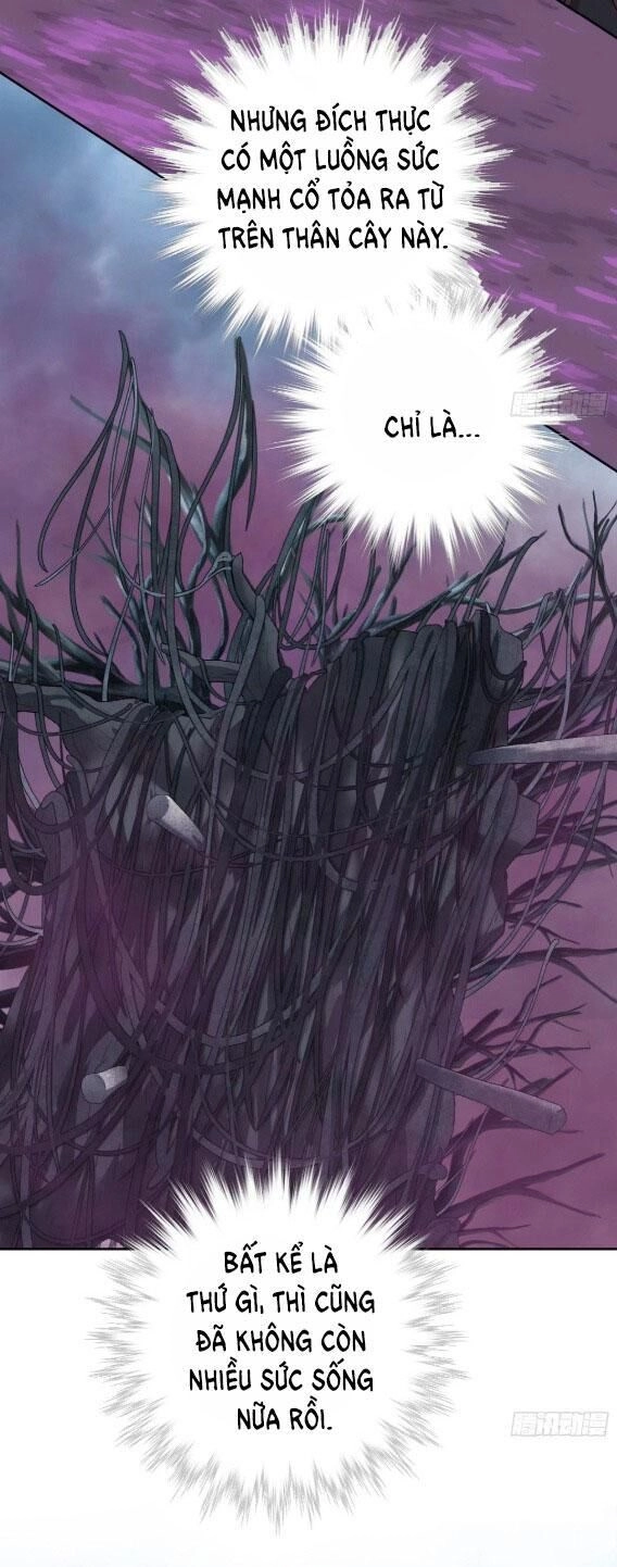 Tế Phẩm Tân Nương Dắt Ác Long Bỏ Trốn Rồi ! Chapter 21.1 - 5