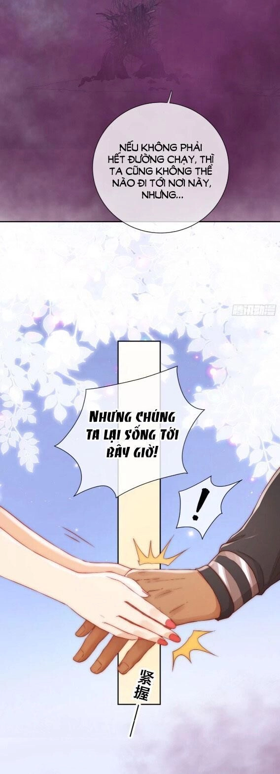 Tế Phẩm Tân Nương Dắt Ác Long Bỏ Trốn Rồi ! Chapter 21.1 - 11