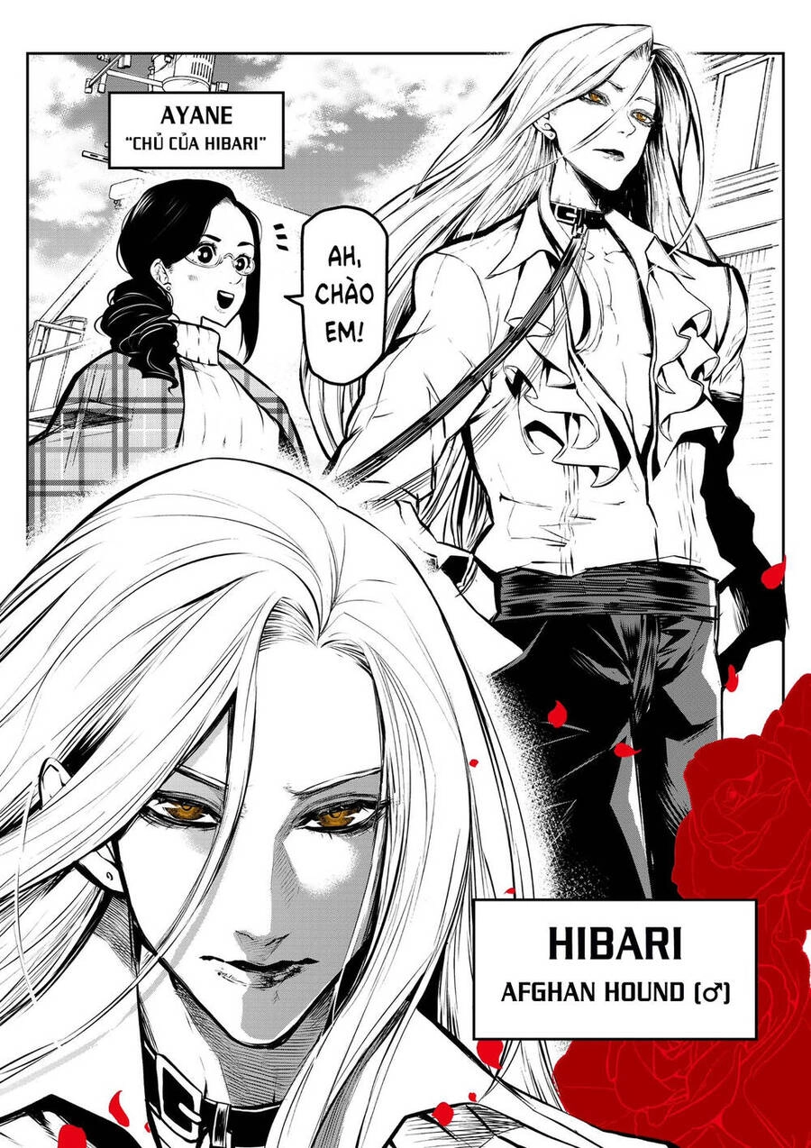 Ponta Nhà Tôi Bỗng Dưng Hóa Thành Người?! Chapter 2 - 4