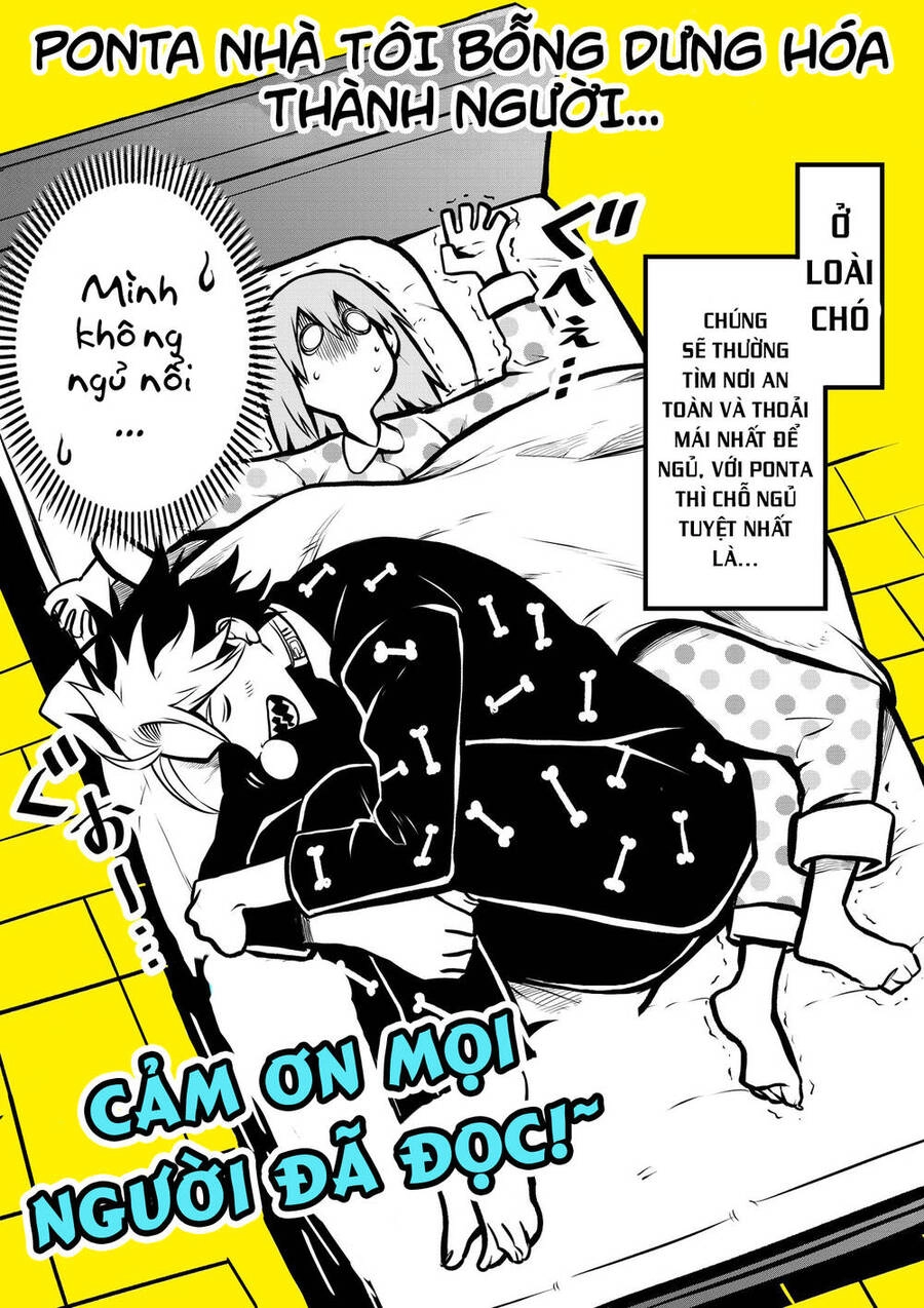 Ponta Nhà Tôi Bỗng Dưng Hóa Thành Người?! Chapter 2 - 9