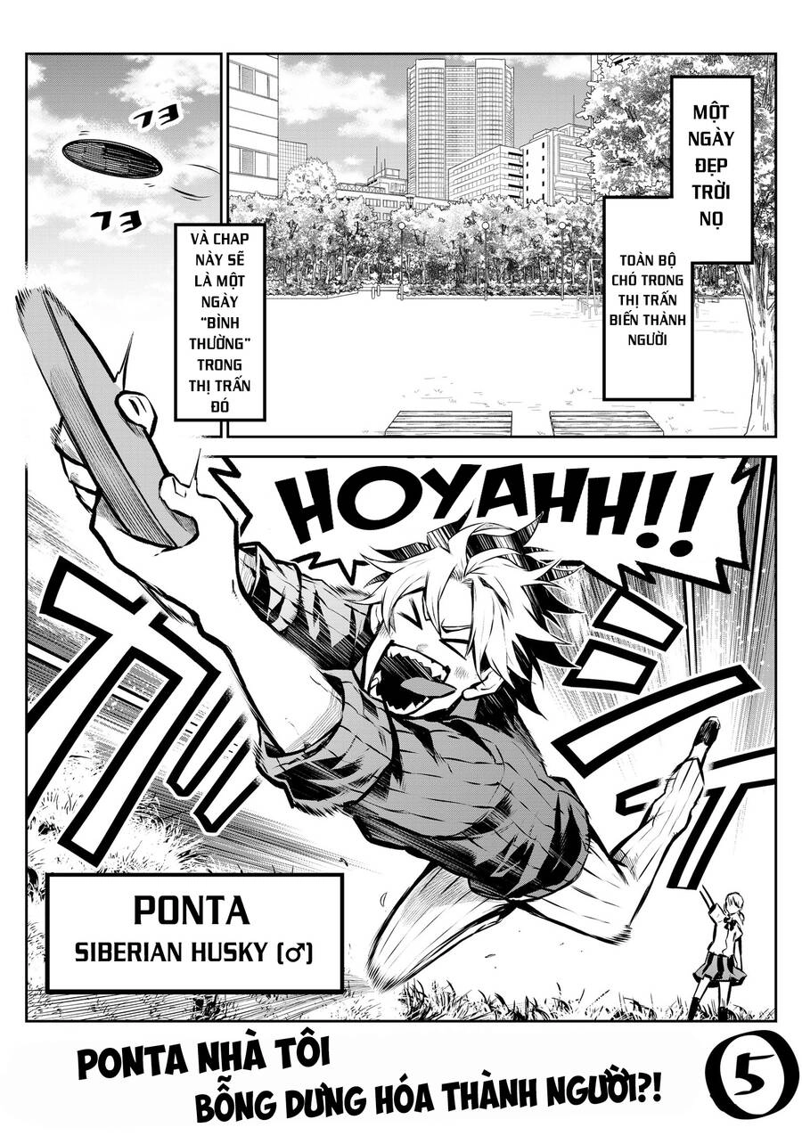 Ponta Nhà Tôi Bỗng Dưng Hóa Thành Người?! Chapter 5 - 1