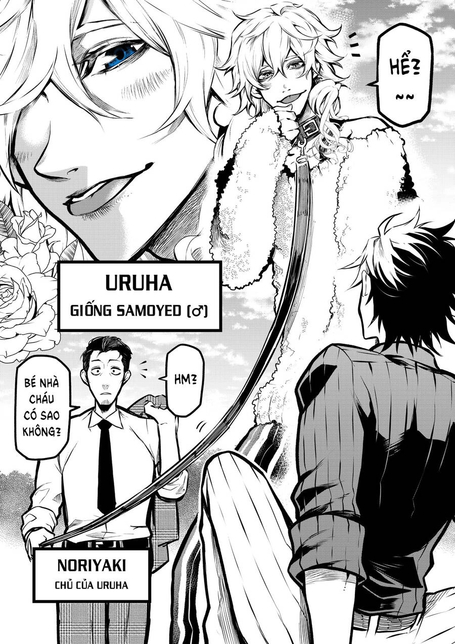 Ponta Nhà Tôi Bỗng Dưng Hóa Thành Người?! Chapter 5 - 3