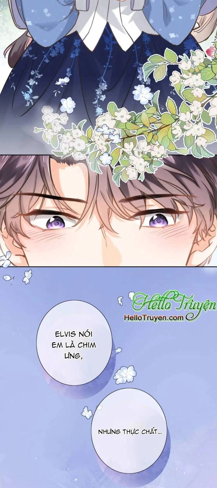 Xuyên Hành Thế Giới Chi Hoa Chapter 69 - 20