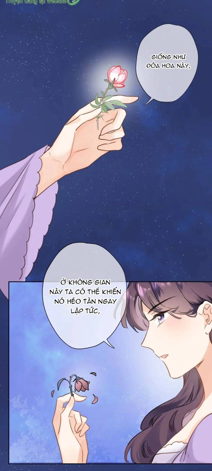 Xuyên Hành Thế Giới Chi Hoa Chapter 75 - 22