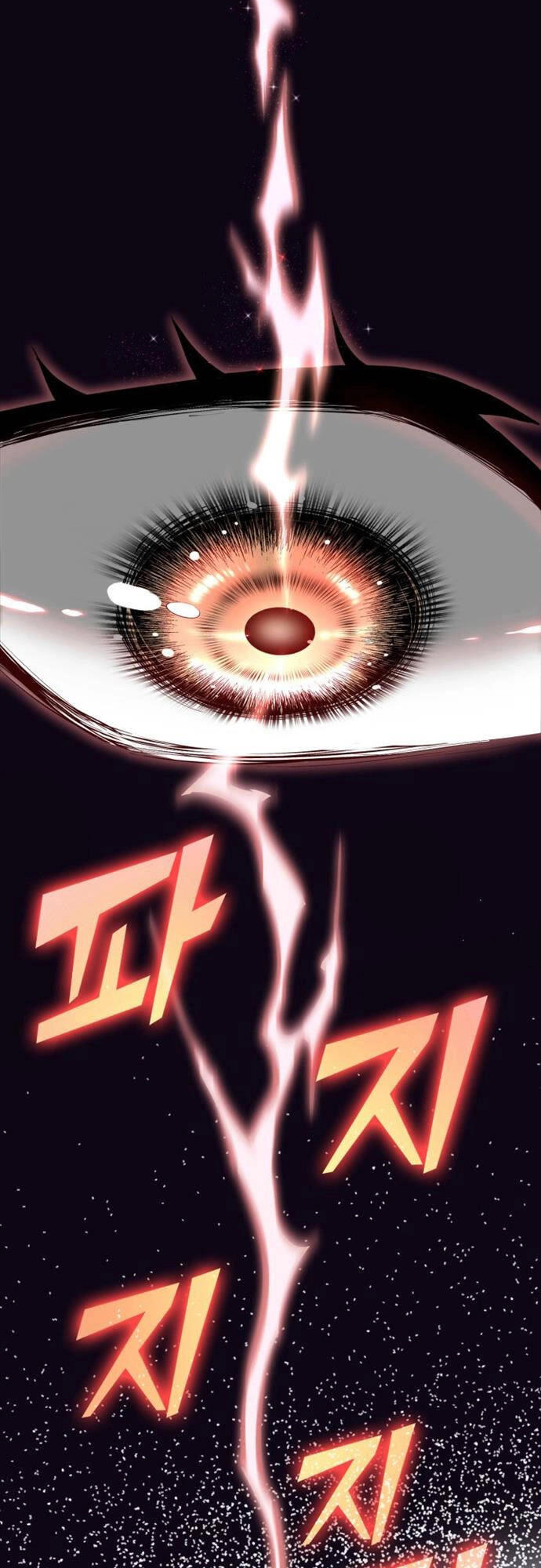 Nhà Vô Địch Kalli Chapter 1 - 71