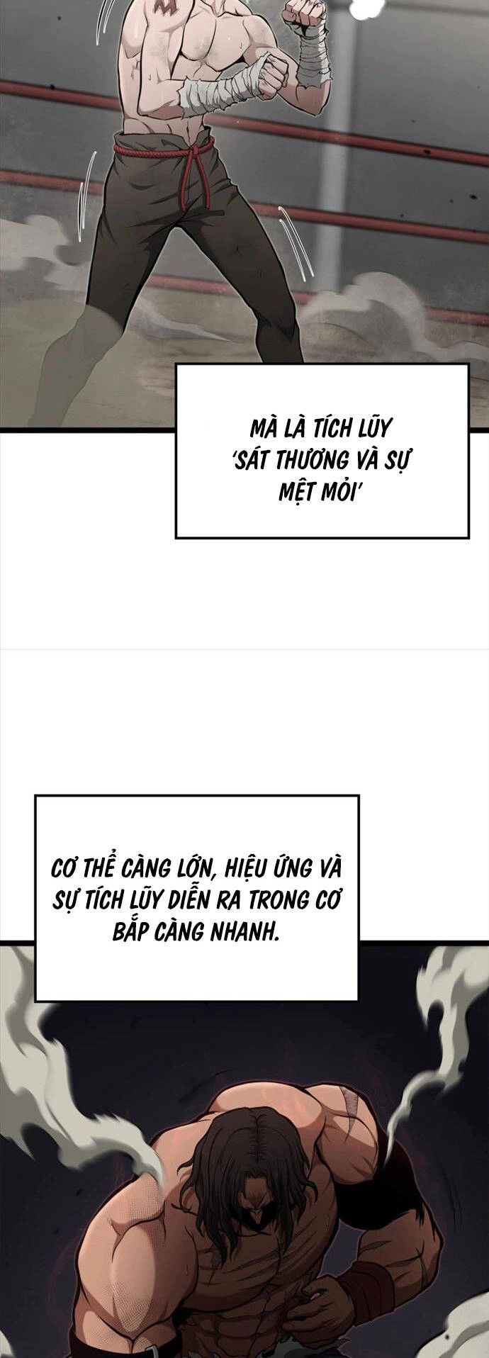 Nhà Vô Địch Kalli Chapter 24 - 36