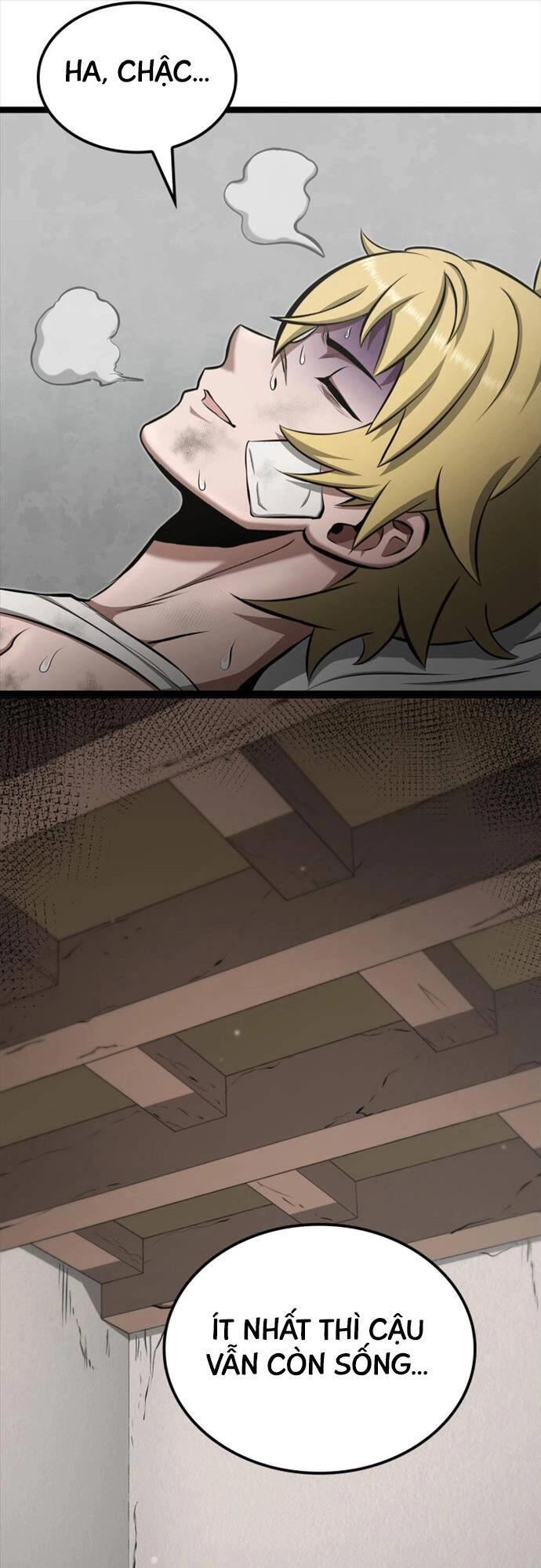 Nhà Vô Địch Kalli Chapter 27 - 13