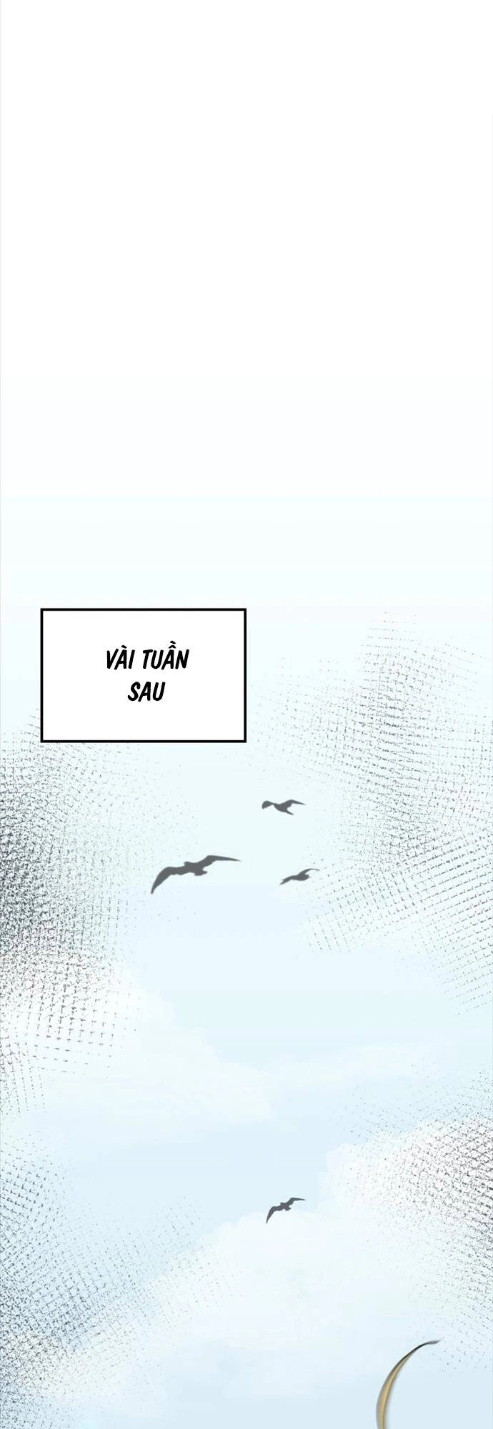 Nhà Vô Địch Kalli Chapter 27 - 15