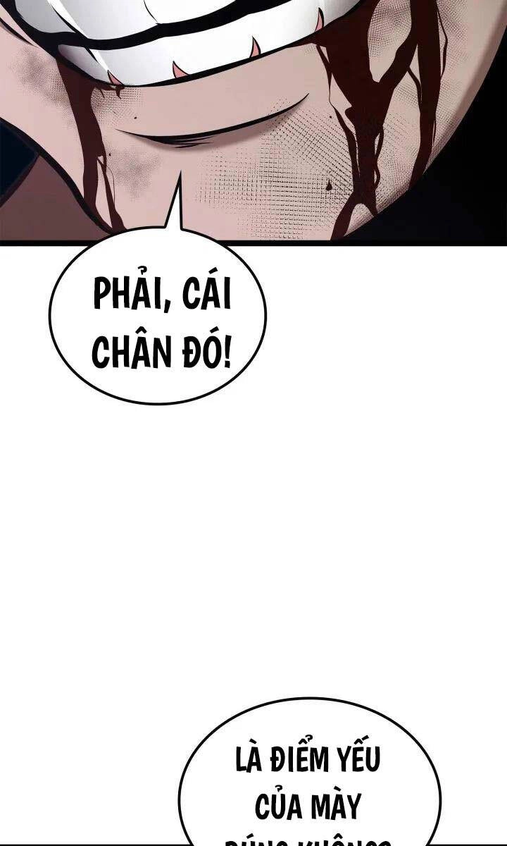 Nhà Vô Địch Kalli Chapter 41 - 79