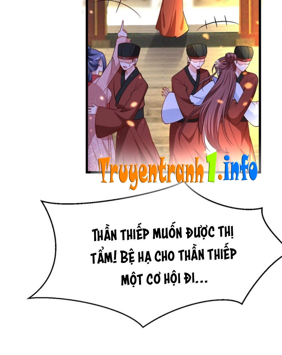 Ngã Tại Hậu Cung Đương Đại Lão Chapter 7 - 12