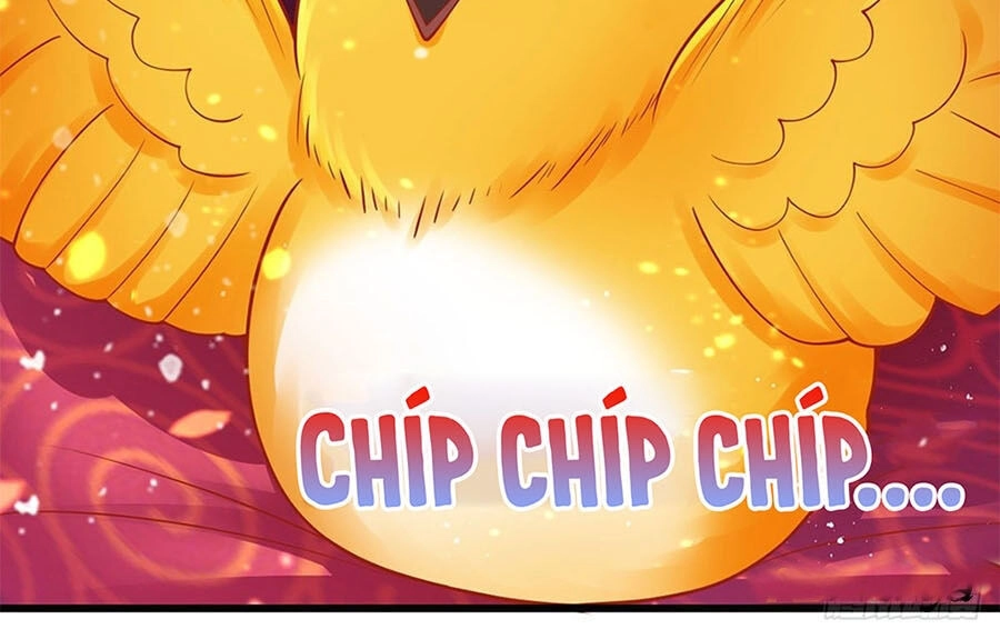 Ngã Tại Hậu Cung Đương Đại Lão Chapter 9 - 10