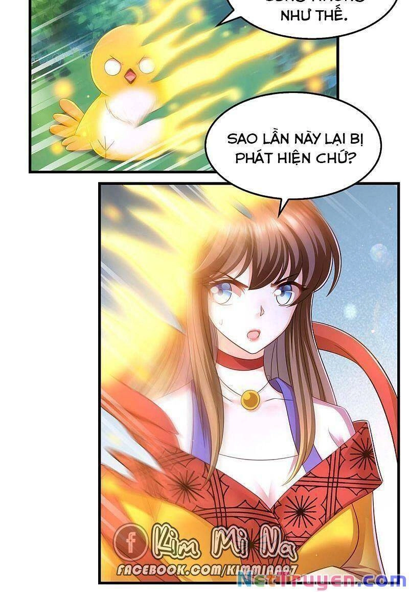 Ngã Tại Hậu Cung Đương Đại Lão Chapter 73 - 17