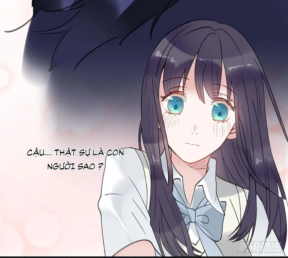 Phi Nhiên Hướng Phong Chapter 1.5 - 38