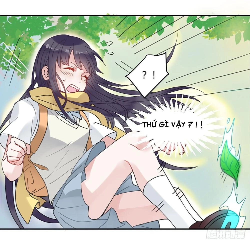 Phi Nhiên Hướng Phong Chapter 2 - 46