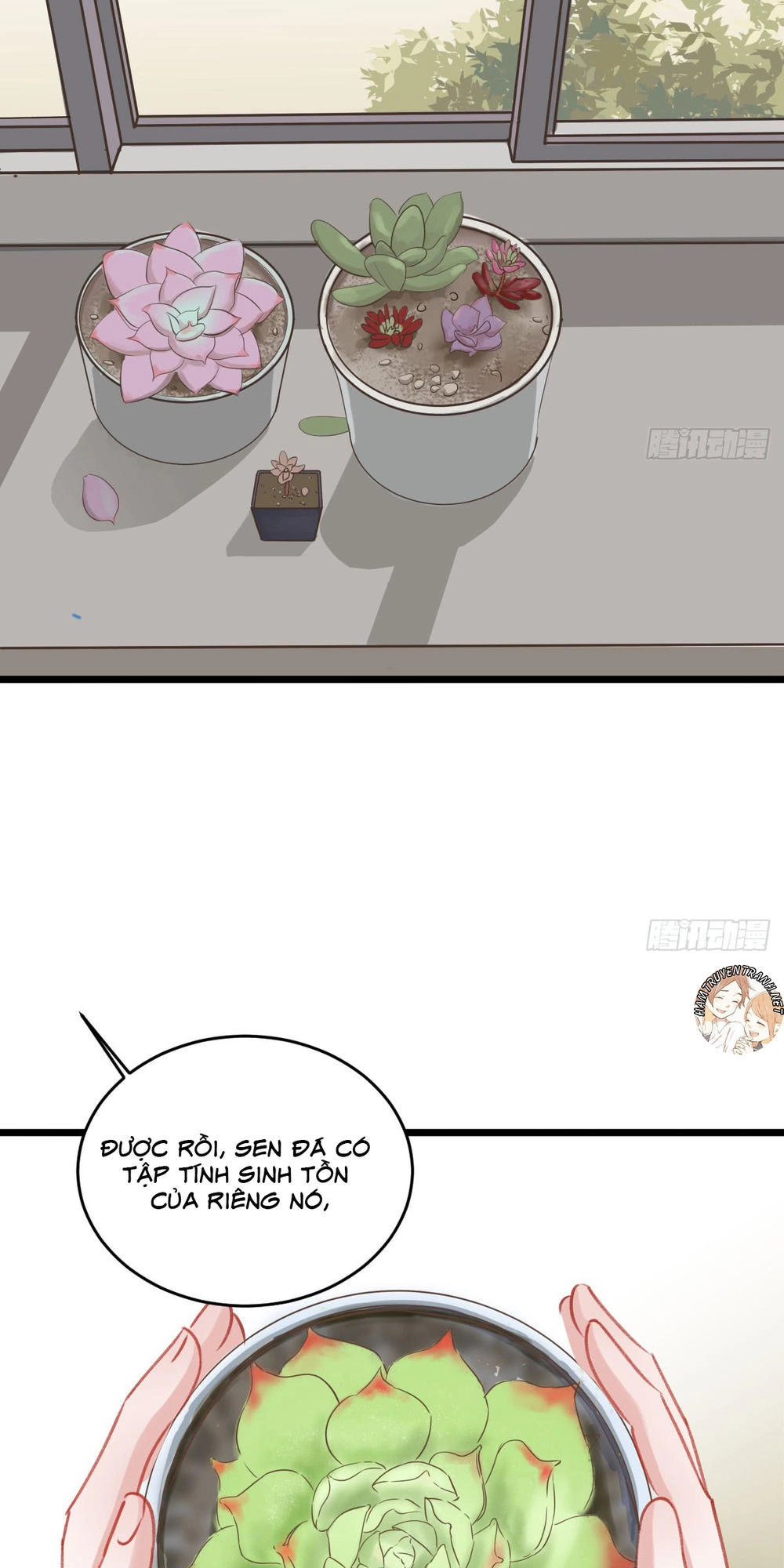 Phi Nhiên Hướng Phong Chapter 20.1 - 12