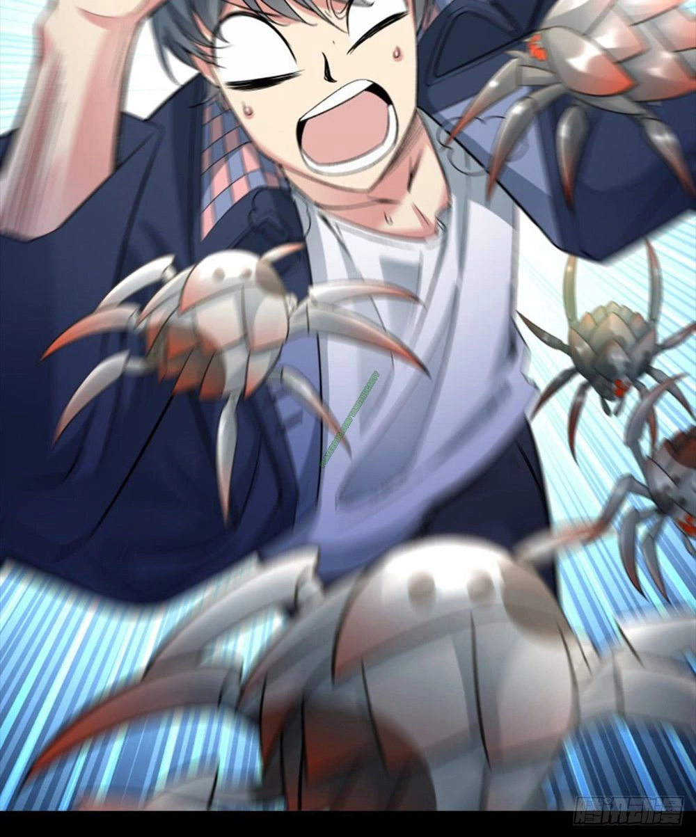 Ta Nhặt Được Thuộc Tính Tại Tu Chân Giới Chapter 0 - 4