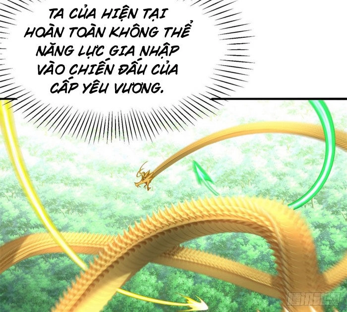 Ta Nhặt Được Thuộc Tính Tại Tu Chân Giới Chapter 71 - 29