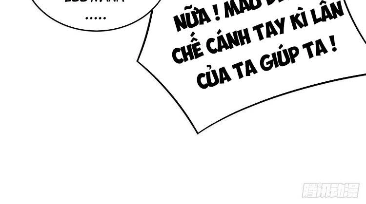 Ta Nhặt Được Thuộc Tính Tại Tu Chân Giới Chapter 149 - 40
