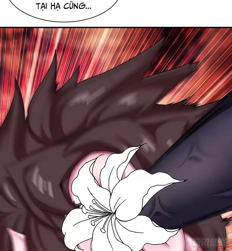 Ta Nhặt Được Thuộc Tính Tại Tu Chân Giới Chapter 215 - 13