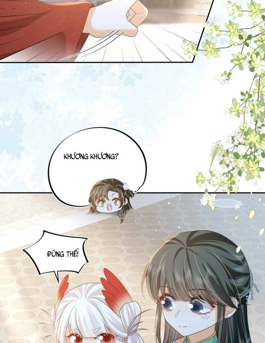 Trăm Kiếp Luân Hồi, Kiếp Này Ta Chỉ Muốn Lười Biếng Chapter 72 - 13