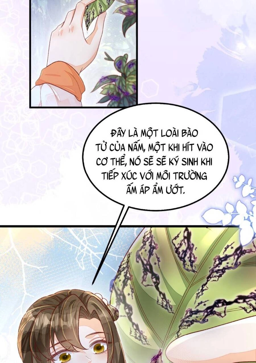 Trăm Kiếp Luân Hồi, Kiếp Này Ta Chỉ Muốn Lười Biếng Chapter 124 - 24