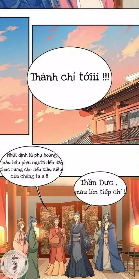 Chưởng Gia Tiểu Nương Tử Chapter 1 - 26