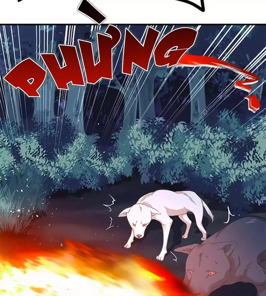 Chưởng Gia Tiểu Nương Tử Chapter 7 - 55