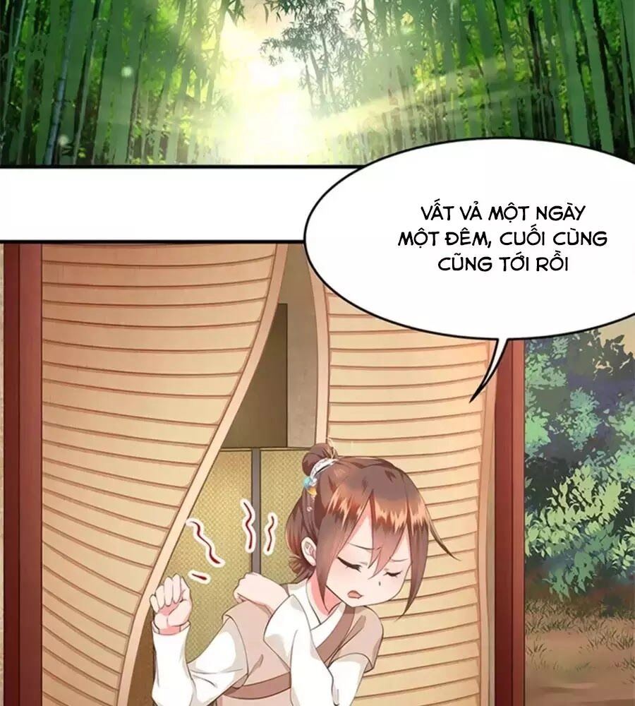 Chưởng Gia Tiểu Nương Tử Chapter 11 - 59