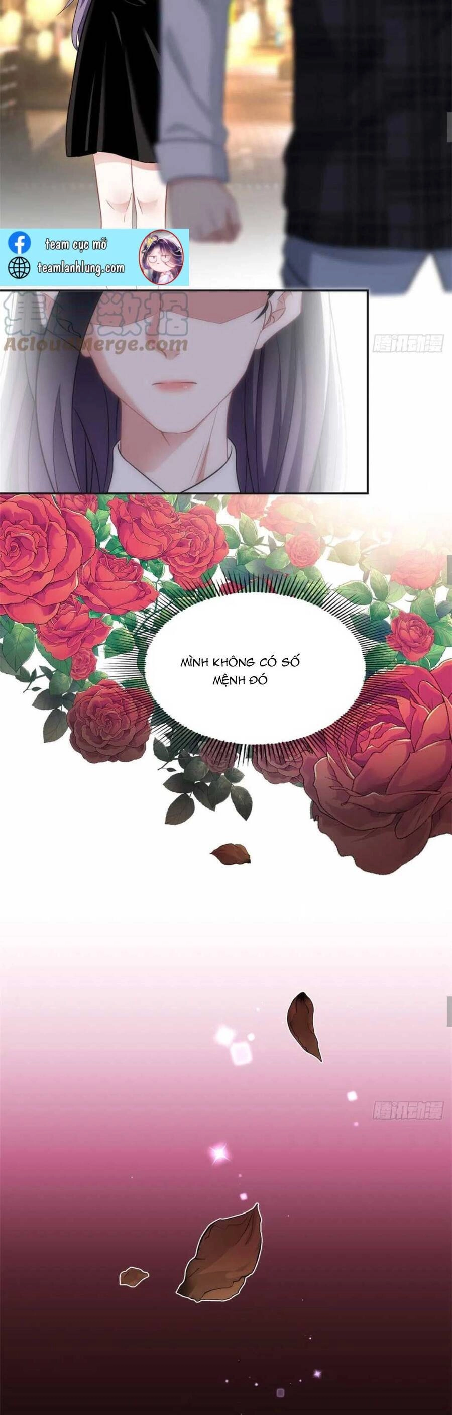 Ly Hôn Với Đại Boss Tôi Càng Tỏa Sáng Hơn Chapter 71 - 17