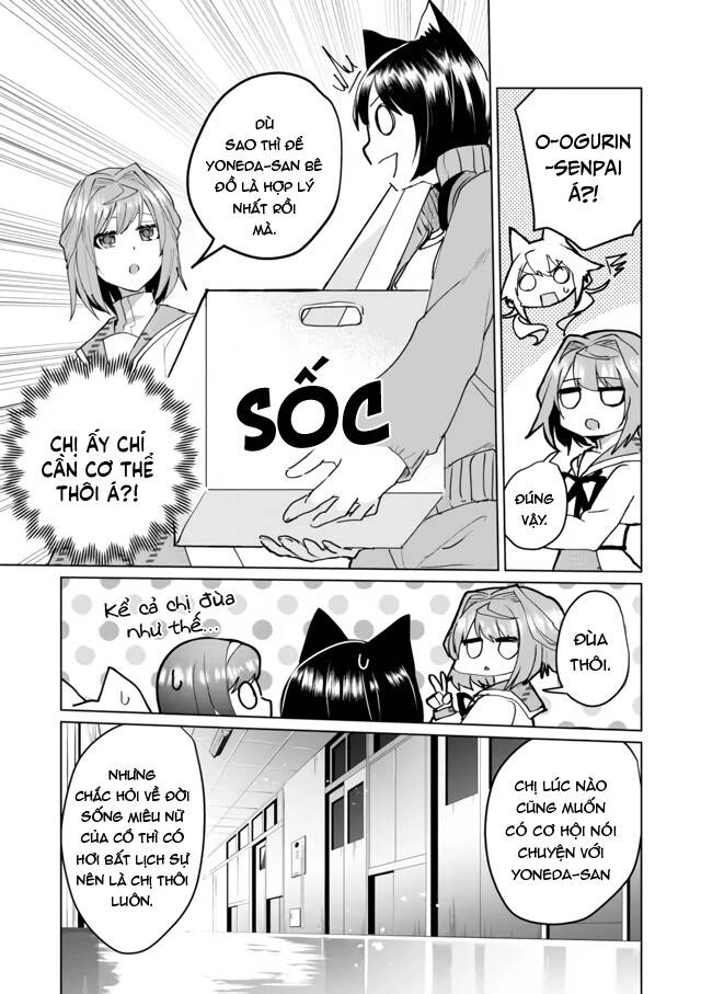 Catulus Syndrome Chapter 62 - 8